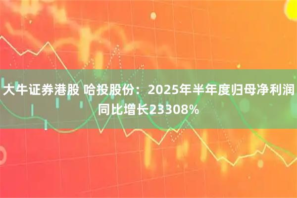 大牛证券港股 哈投股份：2025年半年度归母净利润同比增长23308%