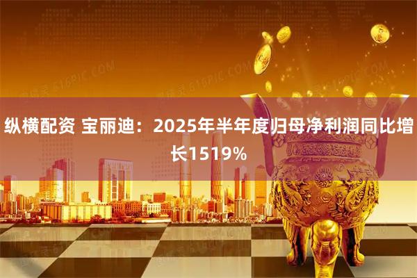 纵横配资 宝丽迪：2025年半年度归母净利润同比增长1519%