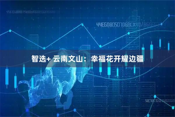 智选+ 云南文山：幸福花开耀边疆