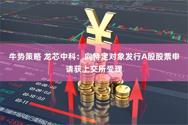 牛势策略 龙芯中科：向特定对象发行A股股票申请获上交所受理